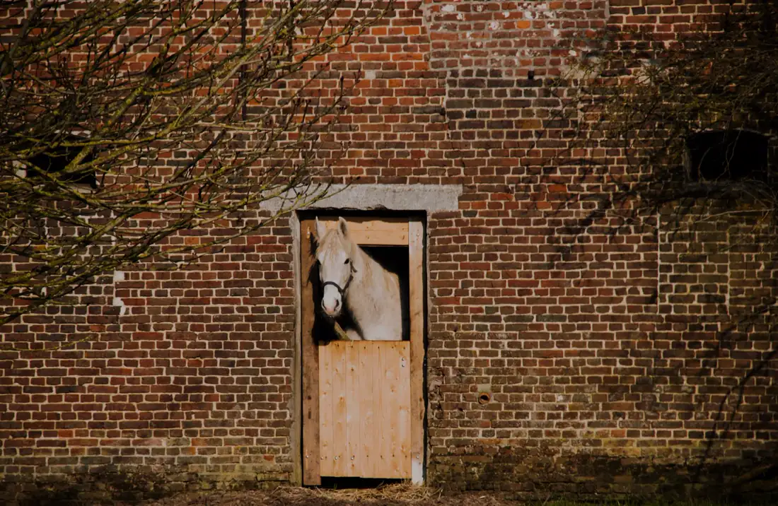 Explorando A Elegancia Funcional Da Arquitetura Equestre Des