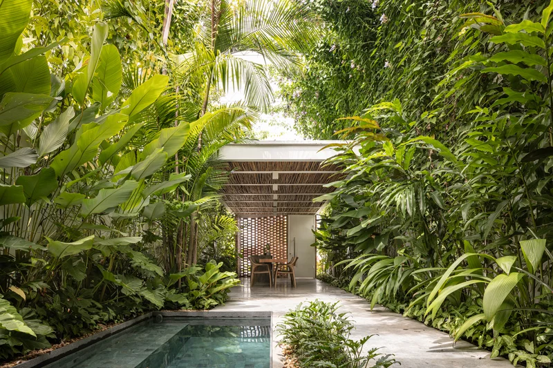 Paisagismo na Arquitetura: Guia Completo para um Projeto de Sucesso