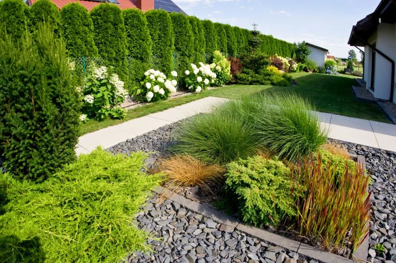 Plantas Para Jardim Externo