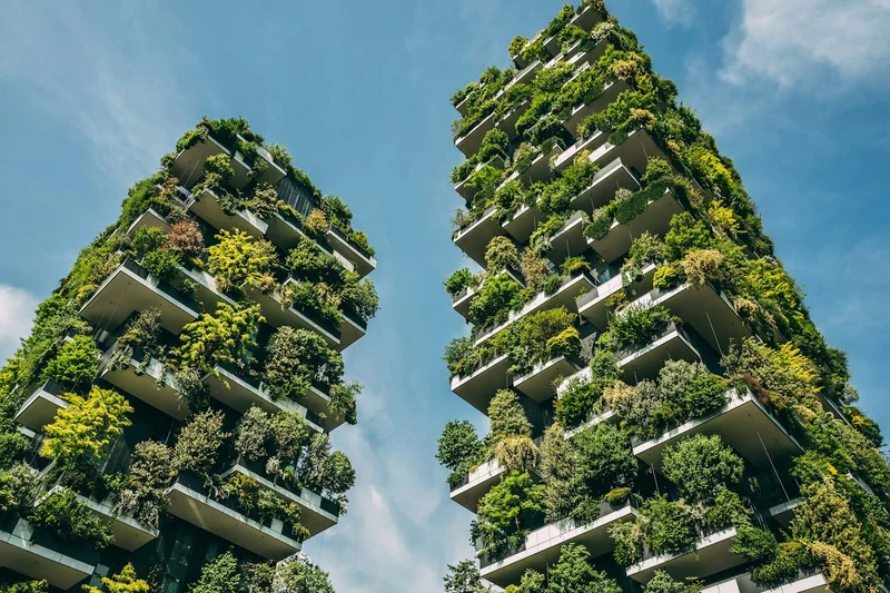 Transformando Espaços e Vidas: A Magia Sustentável da Arquitetura Ecológica